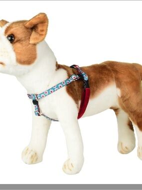 2 Hounds Design: XXS Harness AND Matching  Leash, Blue & Red Daisy